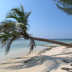 Margarita Bay Utila Playa