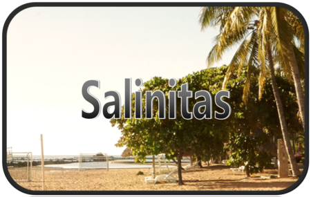 Boton Hoteles Salinitas 2